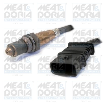Oxygen Sensor